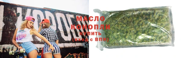индика Осташков