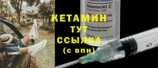 индика Осташков