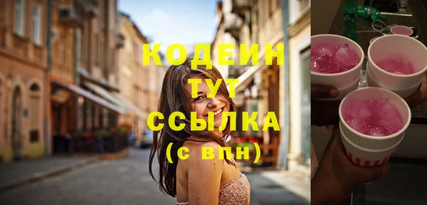 индика Осташков