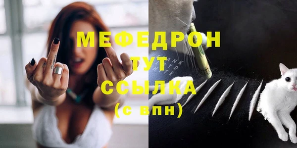 индика Осташков