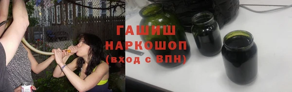 индика Осташков