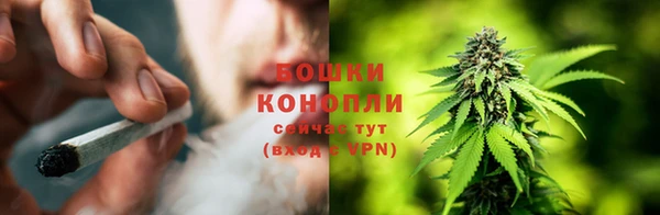 a pvp Пересвет