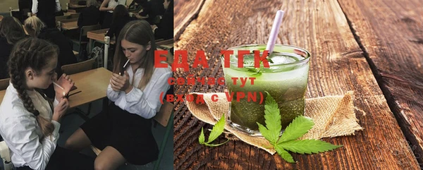 индика Осташков