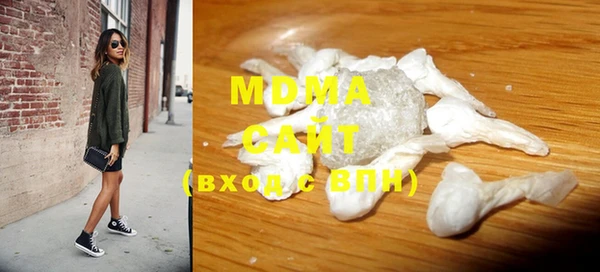 индика Осташков