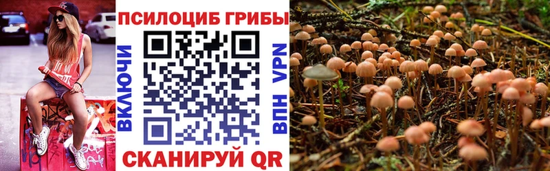 Галлюциногенные грибы мицелий  купить наркоту  Анадырь 